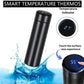 Insulated Temperature Water Bottle - 1 Pc, Keeps Water Cold, Perfect For Gym