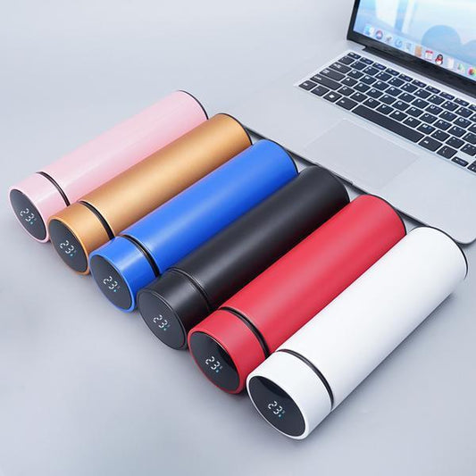 Insulated Temperature Water Bottle - 1 Pc, Keeps Water Cold, Perfect For Gym